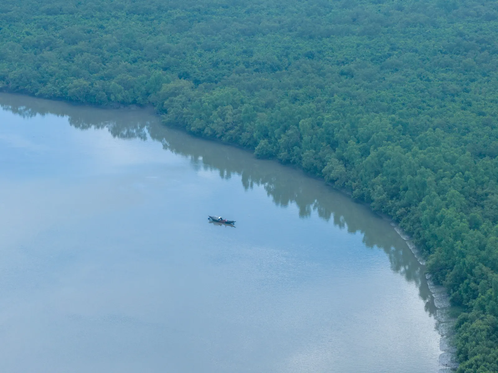 An aerial view of a river beside mangrove forest, with a small boat.