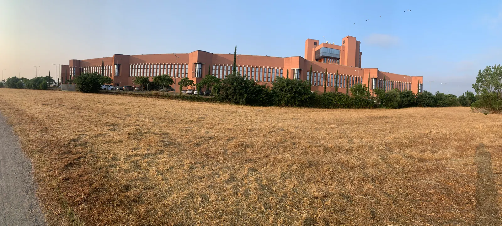 Grassland in Centocelle Park with a building in the background