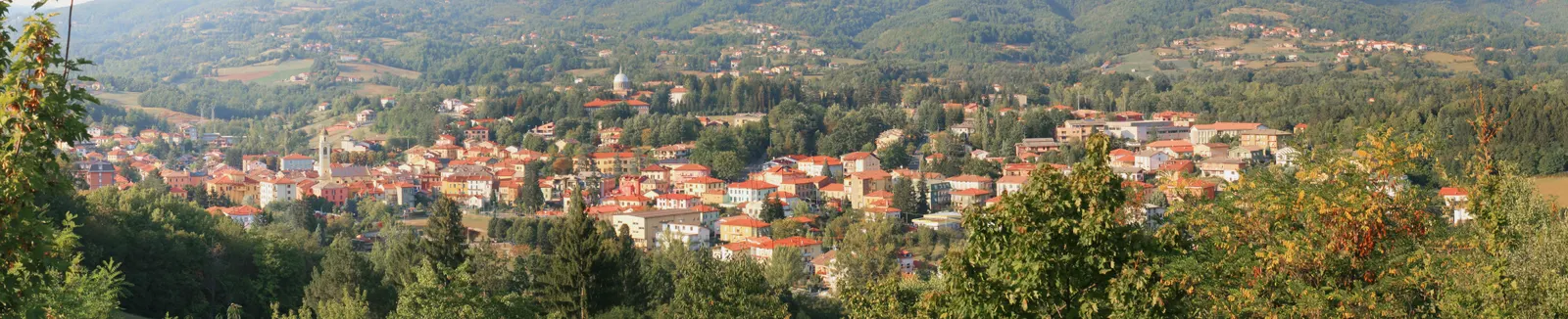The town of Bedonia surrounded by wooded hillsides.
