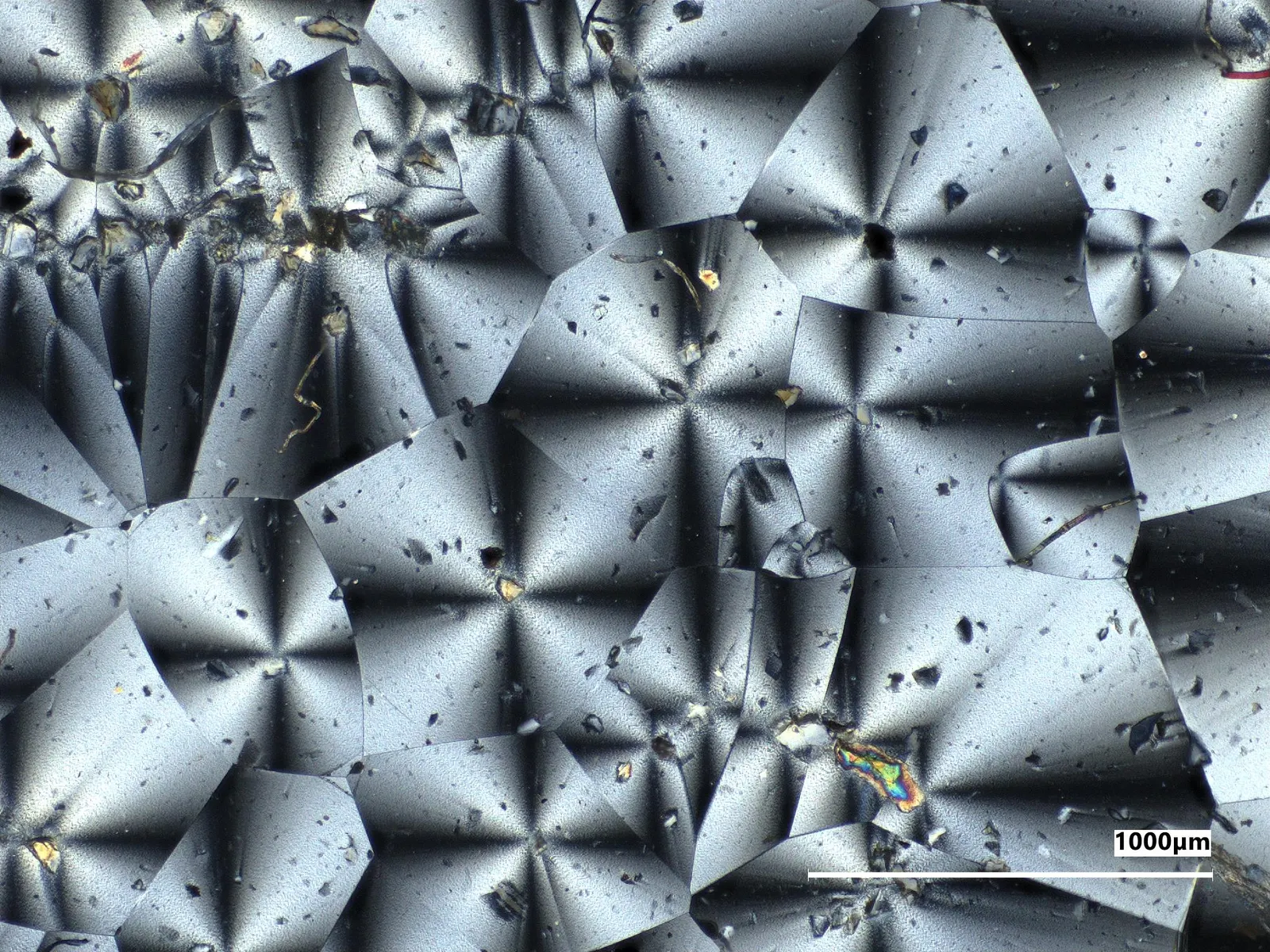 Microscope view of the experimental material, showing grey crystalline shapes and a one-thousand-micrometre scale.