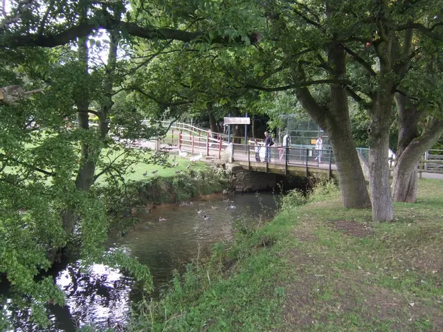 The River Trent flows under a small bridge among trees in Bucknall Park.