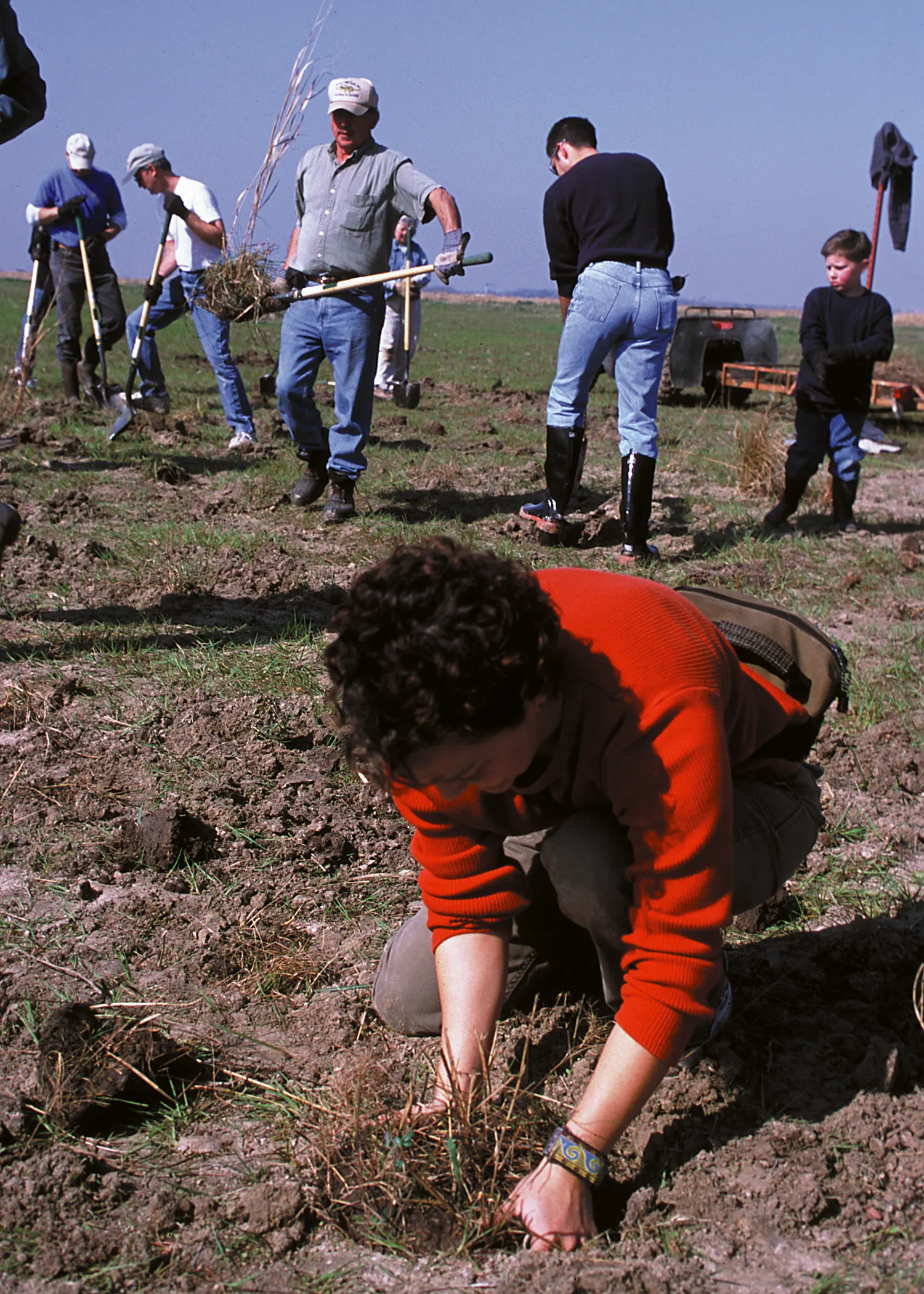 Volunteers with shovels and small plants work on grassy land in Louisiana.
