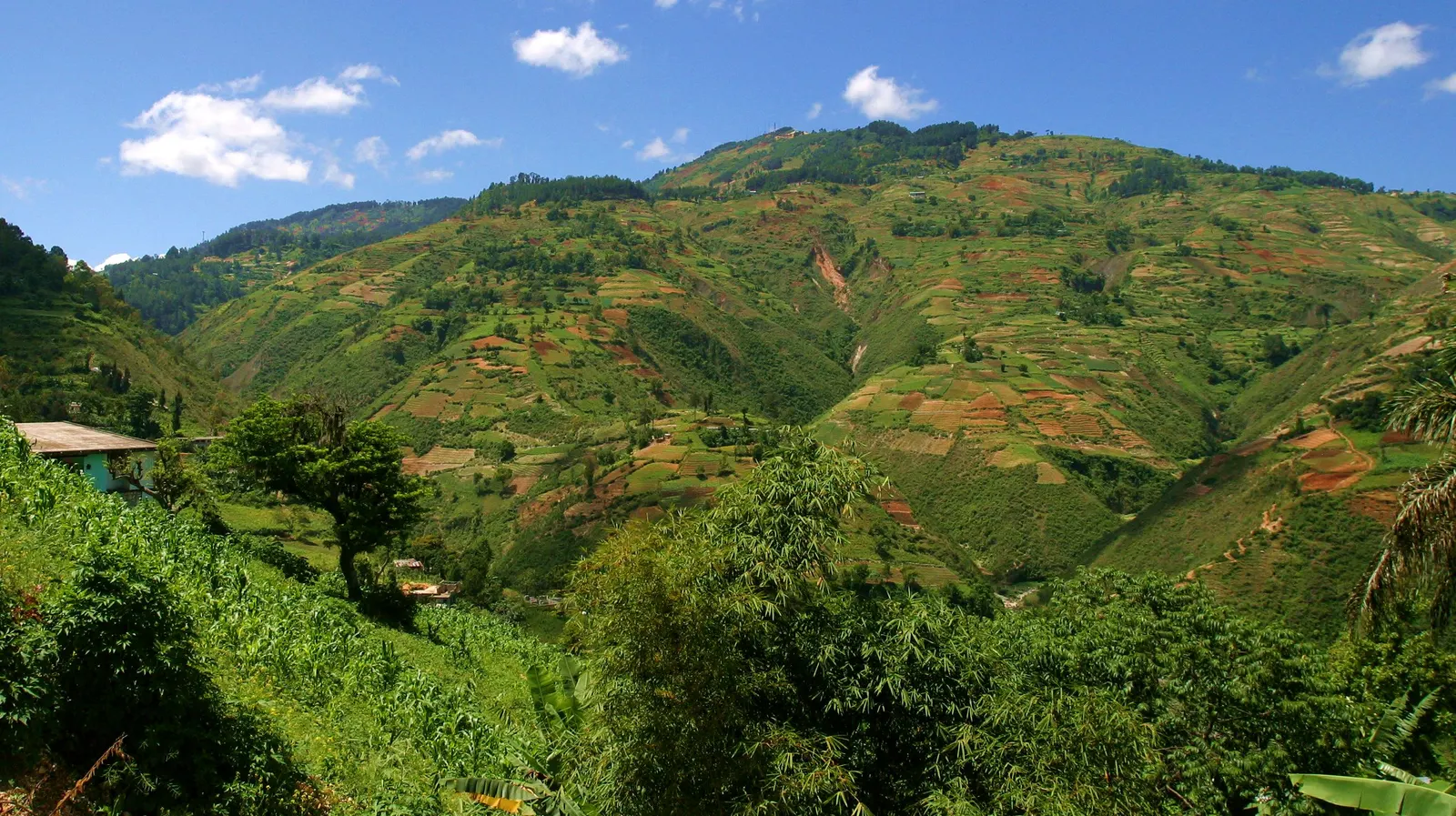 Small cultivated plots on green mountain slopes near Port-au-Prince.