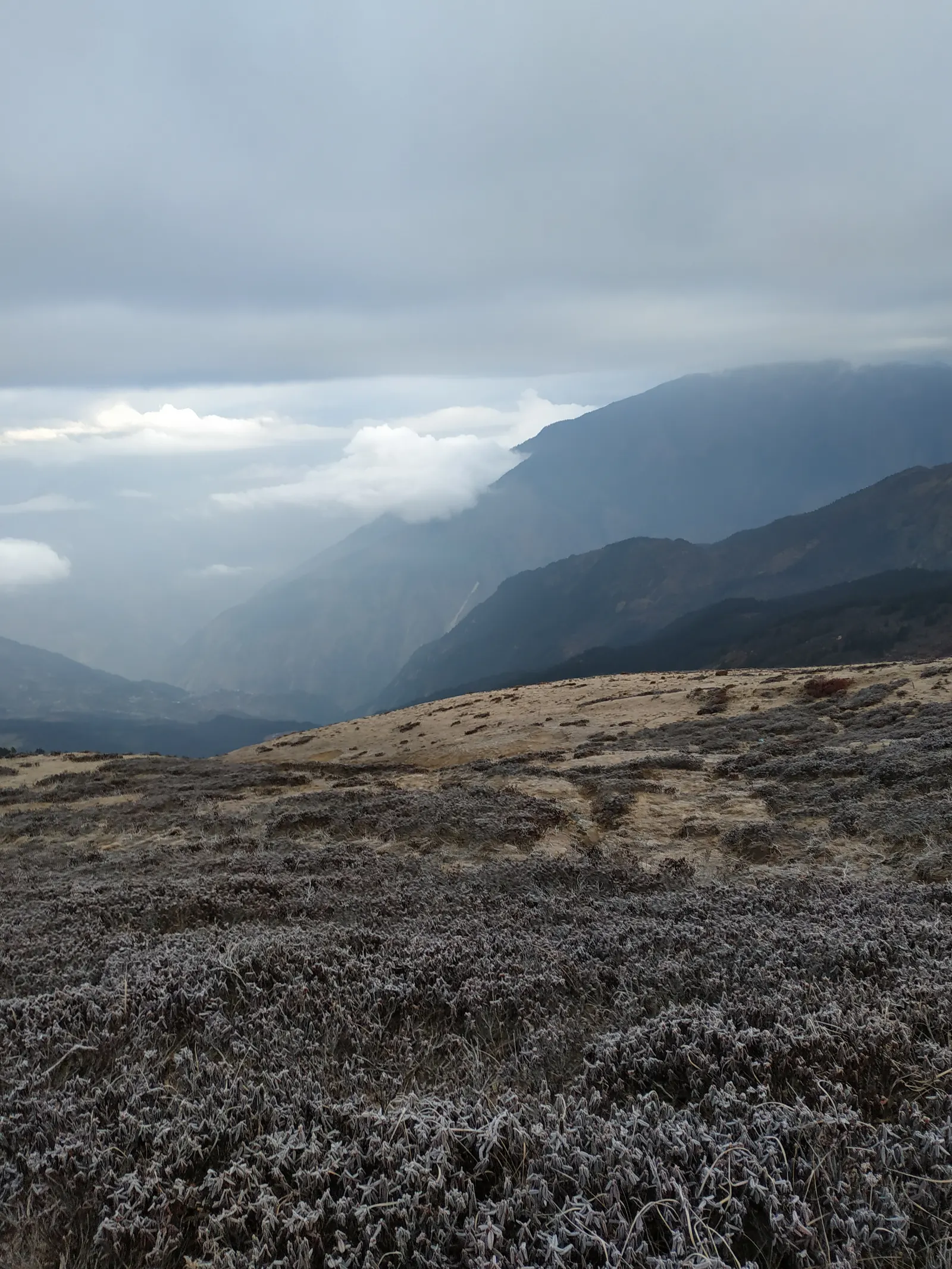 Mountain slopes in Rasuwa, Nepal, with low vegetation and clouds over the valley.