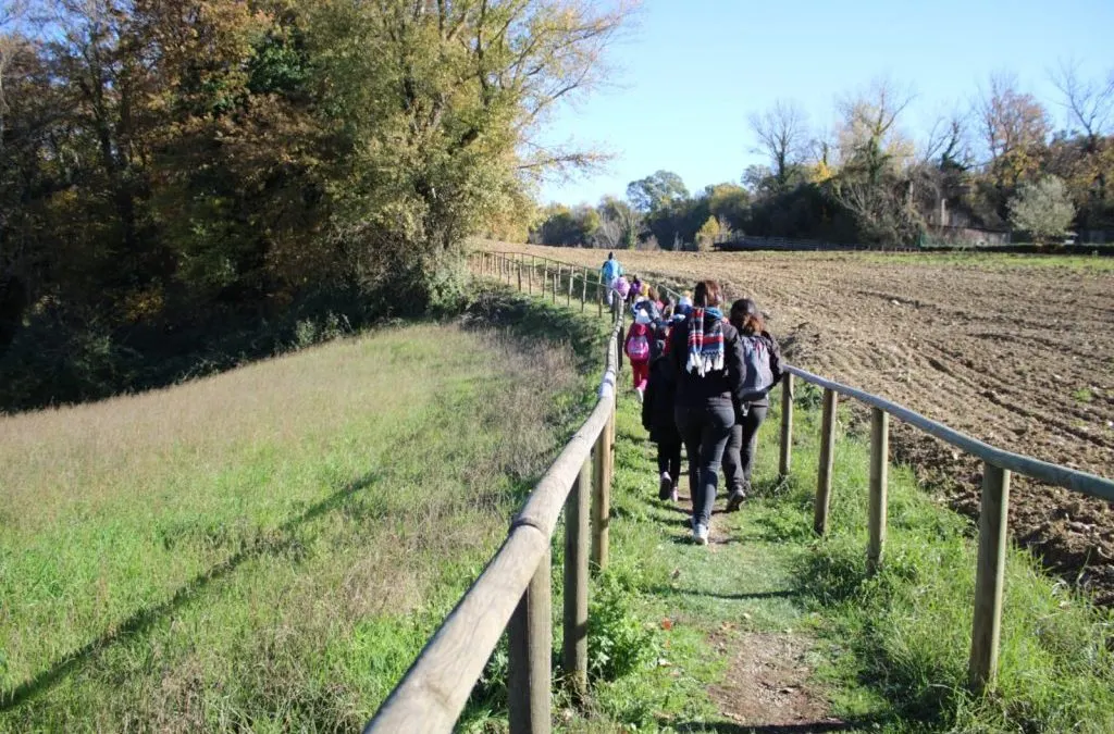 Visitors seen from behind walk along a grassy fenced path between a field and trees.