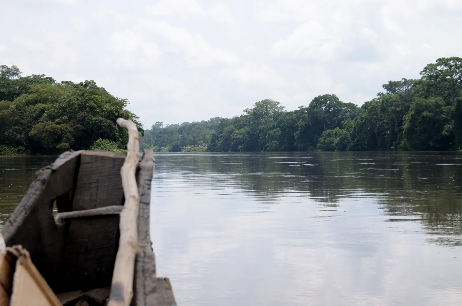 A dugout canoe in the foreground on the Sangha River, surrounded by tropical forest.