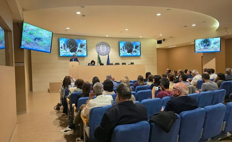 An audience and a speaker at the lectern in the MASE auditorium during the final DigitAP presentation.