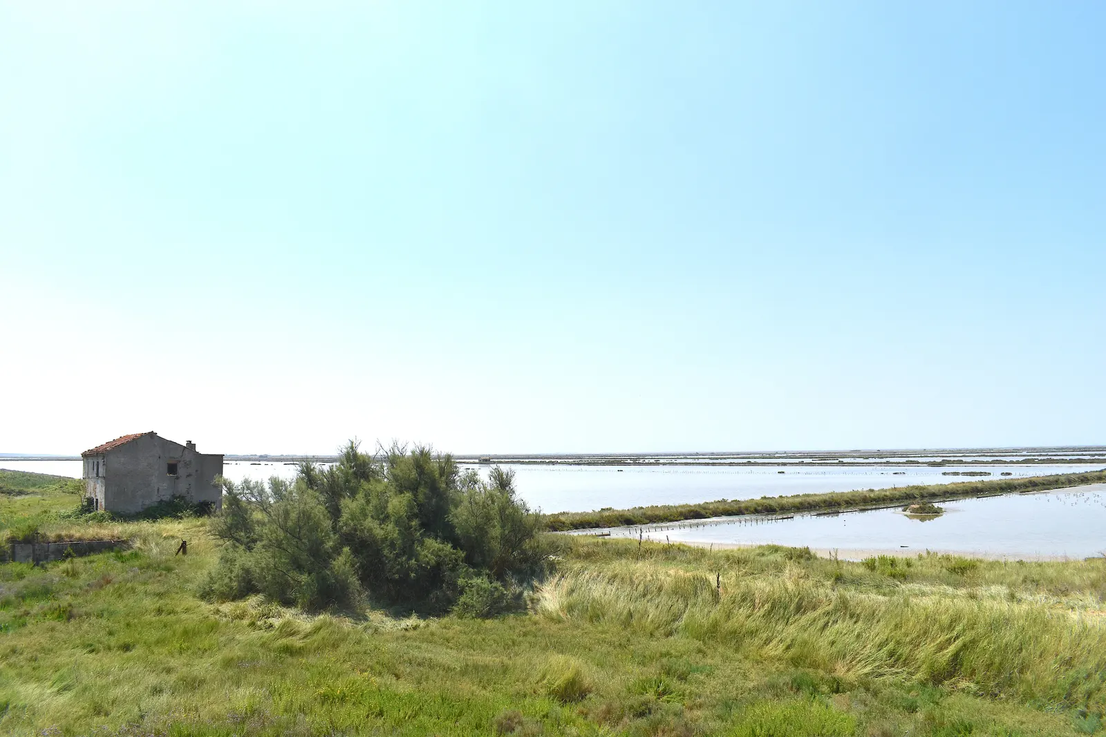 Water basins in the Comacchio salt pans, grassy embankments and a small building.