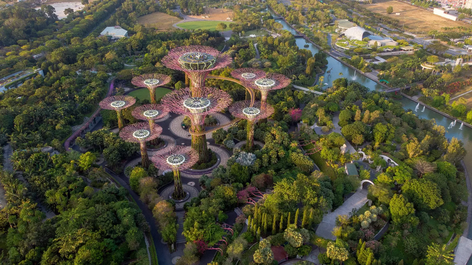 Aerial view of Singapore’s Gardens by the Bay, with trees, water and large tree-shaped structures.
